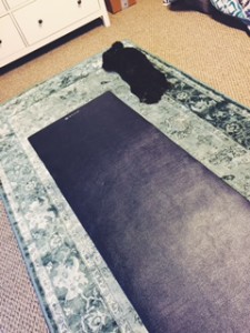 yoga mat on rug with puppy